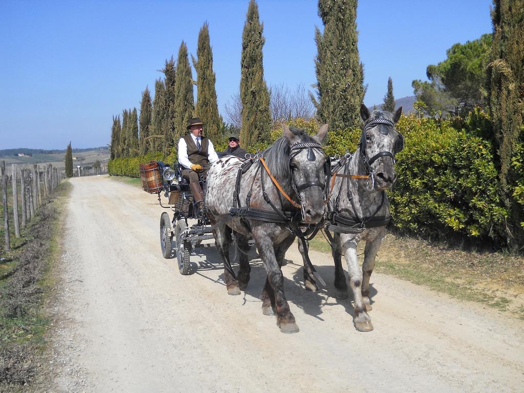 Albergo Giovanni Da Verrazzano Greve in Chianti Dış mekan fotoğraf